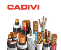 Cadivi