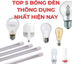 Top 5 Loại Bóng Đèn Thông Dụng Nhất Hiện Nay